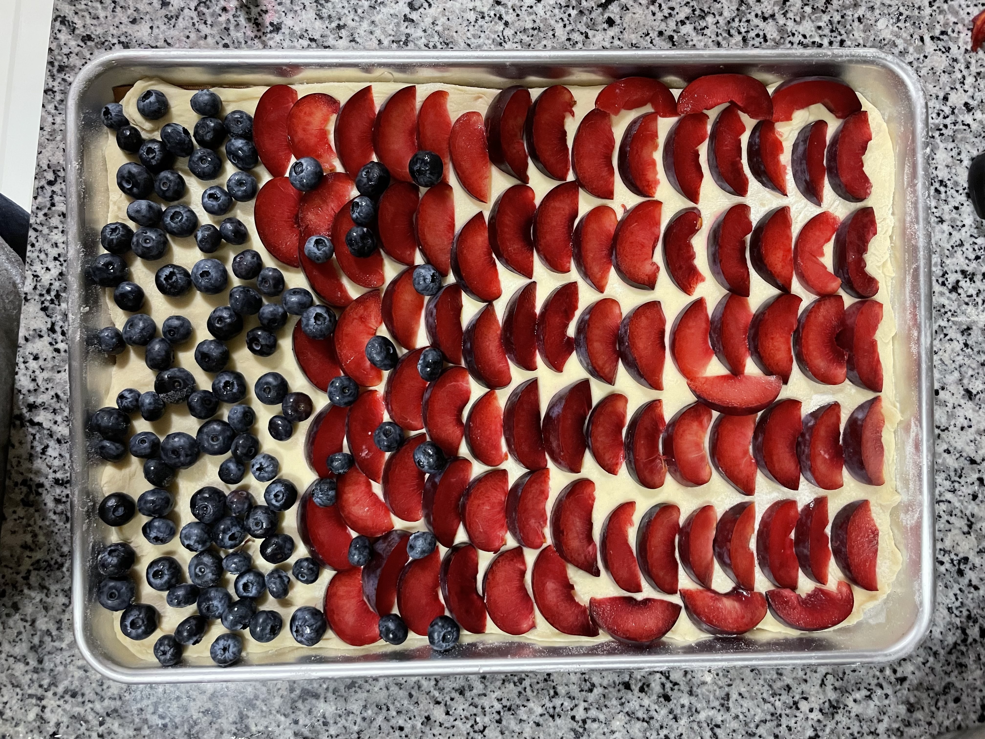 Fruit layout with plumbs and blueberries